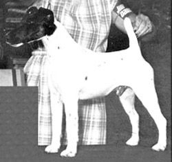 Profile picture of the animal